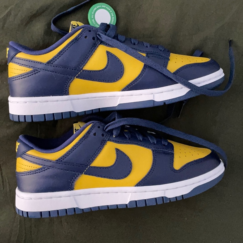 Nike dunk low michigan